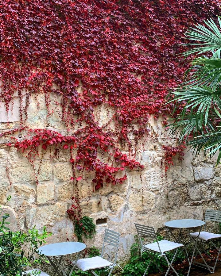 B&B La Maison Galiene Burdeos Exterior foto